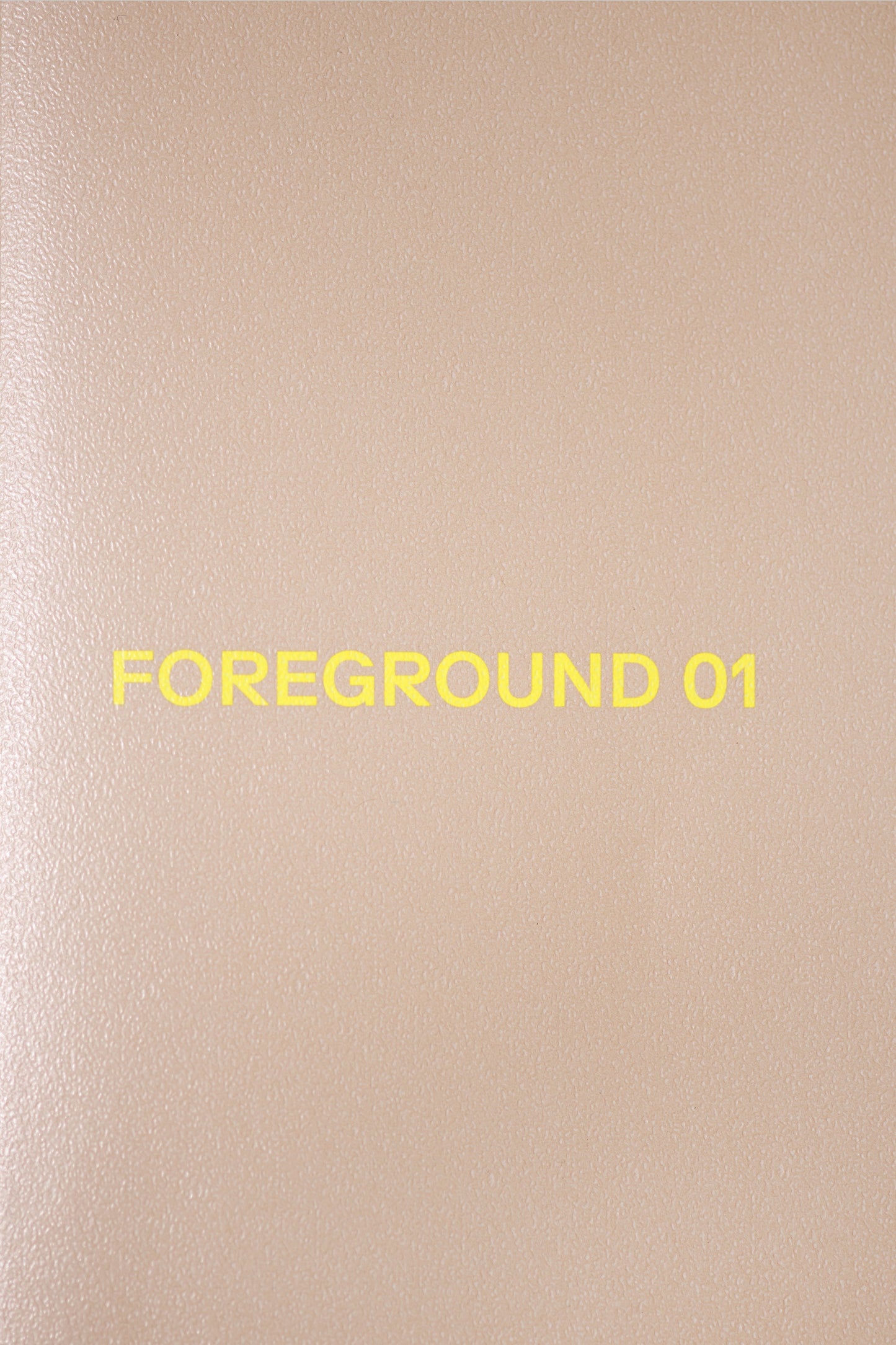 Foreground 01: to get into Berghain with this coat is an achievement by Carmel Rubinstein
