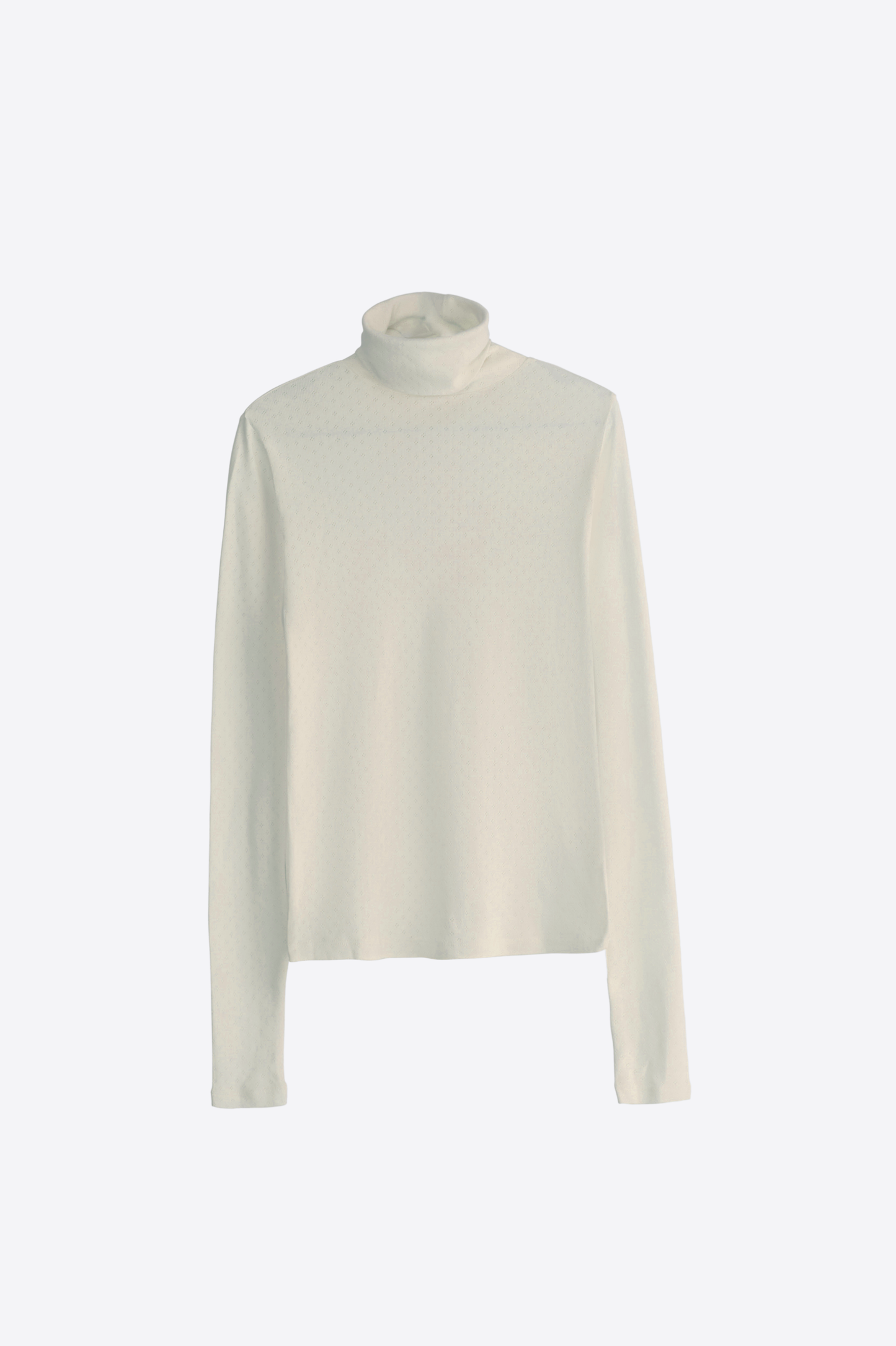 Charlotte Turtle Neck