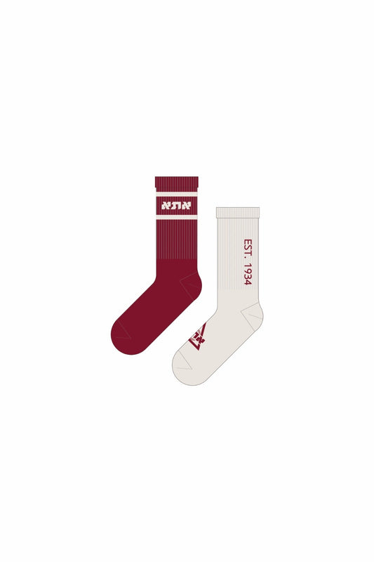 ATA Logo Socks