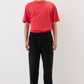 Arye T Shirt